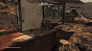 Fallout 76 : Где найти кошку ?