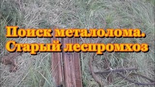 Коп металлолома. Старый леспромхоз.