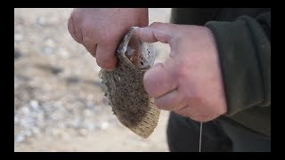 Трофей на море. 14 серия. Камбала