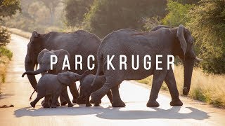 SAFARI en Afrique du Sud | Parc National KRUGER 2/2 - Ep. 40