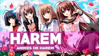 Los Mejores Animes Harem/Ecchi Recomendados