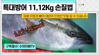 [특대방어 11, 12kg 손질영상] 피를 이렇게 완벽하게 빼야지 진정한 방어 맛을 알수있습니다. How to fillet giant Yellowtailfish.