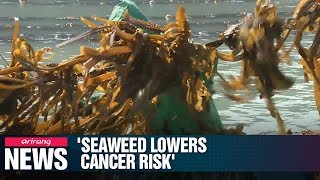 Regular intake of marine plants like seaweed lowers risk of colorectal cancer by 35%: Study