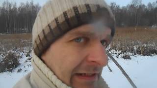 Замор  День второй  начало выхода щурят в прорубь