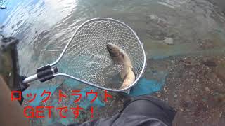 管釣りどうでしょう　＃06　2019 11 30