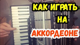 Что Такое Аккордеон и с чем его Едят | Нотная грамота | Аккордеонист Разбор