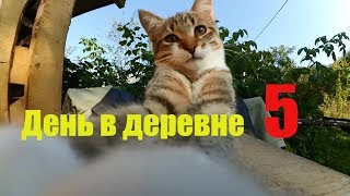 150 ведер и 55 яиц // Картофан и куры-старушки // День пятый в поле