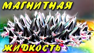 ? КАК СДЕЛАТЬ МАГНИТНУЮ ЖИДКОСТЬ СВОИМИ РУКАМИ  ferrofluid ИГОРЬ БЕЛЕЦКИЙ