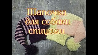 Шапочка для собаки спицами, DIY beanie for dog and cat