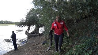 Днестровский Сом на тонкую леску.
