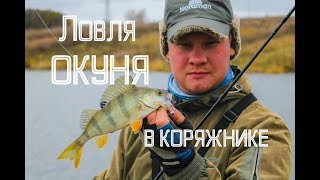 Ловля окуня в коряжнике. Новый пруд с дерзким окунем