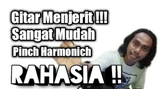 Tutorial Pinch Harmonic || Cara membuat gitar menjerit untuk pemula