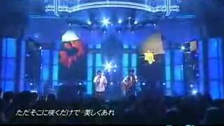 中孝介 森山直太朗 - 花