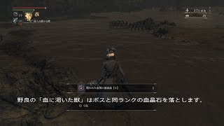 ブラッドボーン　銃にセットする血晶石について (血質&脈動)　 野良血に渇いた獣の有用性