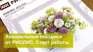 Акварельные гвоздики от РИОЛИС. Старт нового процесса.