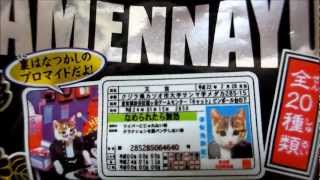 なめねこカードガム【なめんなよ】懐かしい、なめ猫免許証  復刻版　cat