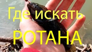 РОТАН на ТУРБИНКУ   Ловля РОТАНА