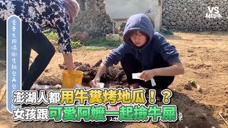 澎湖人都用牛糞烤地瓜！？ 女孩跟可愛阿嬤一起撿牛屎《VS MEDIA》