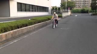 Japed（ジャペッド）モペット（モペッド）