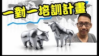 一對一交易培訓計畫 l 阿文外匯分析 外匯投資入門教學交易黃金分析 | 外汇投资入门教学交易黄金分析