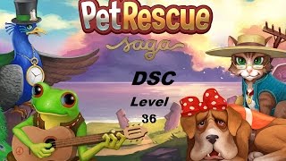 Pet Rescue Saga Level  36 Animal Kingdom  3 stars no boosters