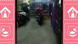 Garden pet shop cinere depok