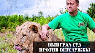Зубков выиграл суд против ветслужбы Крыма