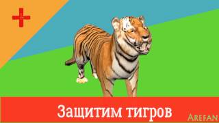 Защитим тигров