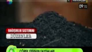 Çörek Otunun Faydaları - ShowTV