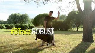 Раскладушка BTrace ROBUST