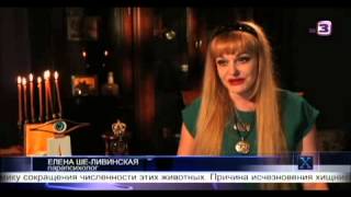 Елена Ше-Ливинская (ясновидящая,‪ парапсихолог‬) на телеканале ТВ-3 . "Х -версии" 03.08.2015