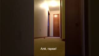 Попугай просит Наташу закрыть Окно / The parrot asks Natasha to close the window.