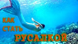 Как стать русалкой. Самый правильный способ русалки