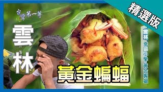 台灣第一等【幸蝠村 台灣特有黃金蝙蝠】雲林 _精選版