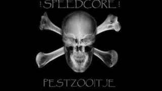 Public Animal - Requiem For The Speedcore