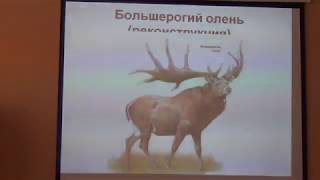 Пчеловодство семинар г  Псков  Пасека  Пчелы  Пчеловоды  Улей  Карника  Бакфаст  Пчелосемья  Часть 1