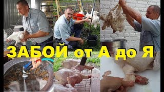 Забой от А до Я. Всё о забое, временные паузы, важные мелочи, "набитые шишки".