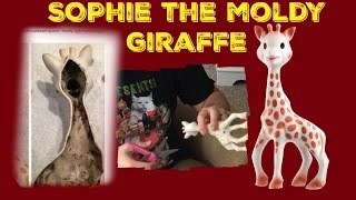 Sophie the Moldy Giraffe