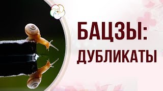 БАЦЗЫ: Дубликаты и антидубликаты в астрологической карте Бацзы. Расшифруйте тайные знаки судьбы
