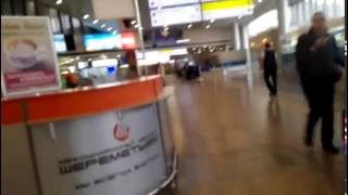 Moscow Sheremetyevo Airport Terminal F