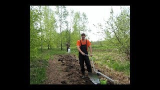Как  правильно посадить картофель на огороде  электроплугом, лебедкой.