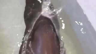 Wet pantyhose