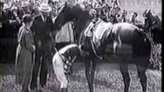 War Admiral