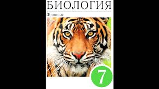 § 28 Отряд птиц