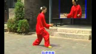 Xu Wenhui Xingyiquan Composite Form