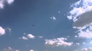 Skymaster F16 1/8 EDF Schübeler DS-94 HST DSM 6740-650