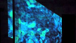 Christopher Waller AW10 campaign video