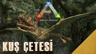 ARK Survival Evolved Türkçe / Kuş (DIMORPHODON) Çetesi #20
