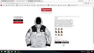 Supreme SS18 Week 7 The North Face Silver Parka/Tee