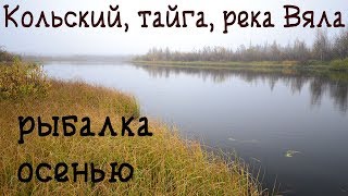 Умба облом с лицензией, река Вяла, рыбалка, Кольский полуостров